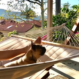 Meet your Posher, Camie, at Blue Barn